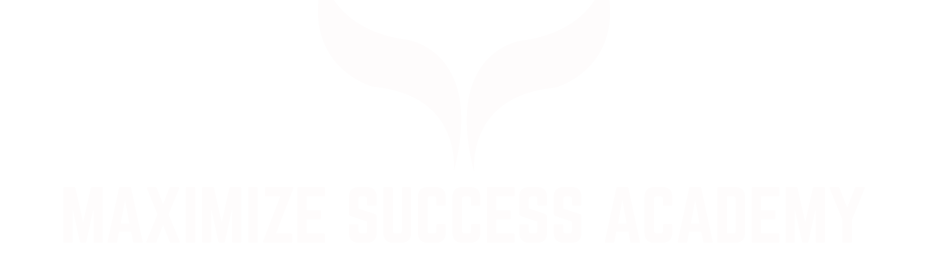 Maximize Success Academy